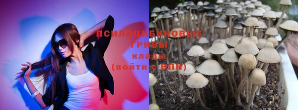 дурь Медвежьегорск