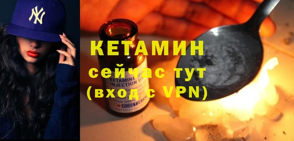 шишки Мегион
