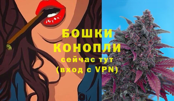 МДПВ Магас