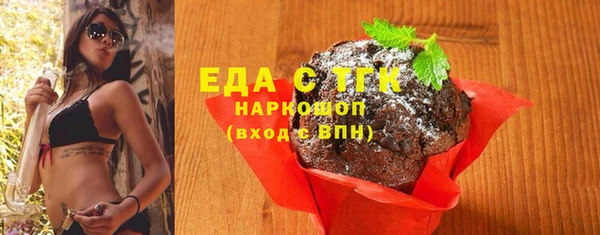 индика Сатка