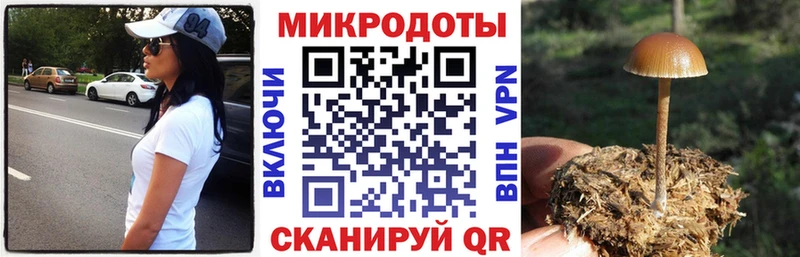 Галлюциногенные грибы прущие грибы  даркнет сайт  Мариинский Посад 
